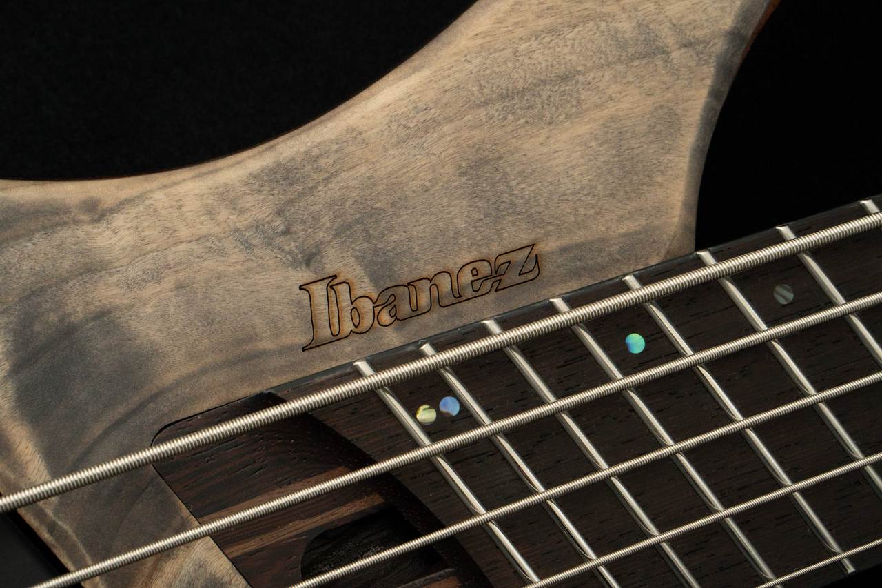 Ibanez EHB1505MS BIF -Black Ice Flat