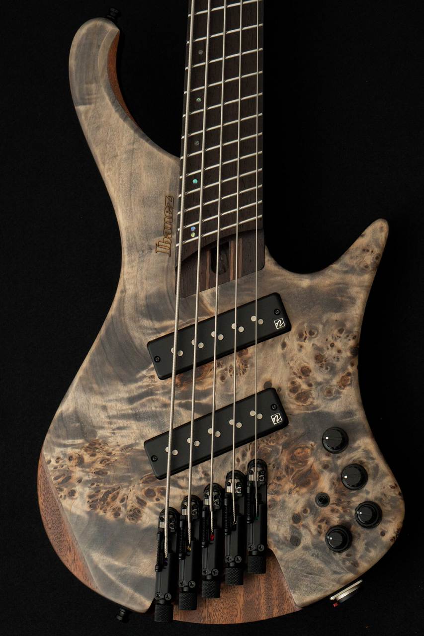 Ibanez EHB1505MS BIF -Black Ice Flat